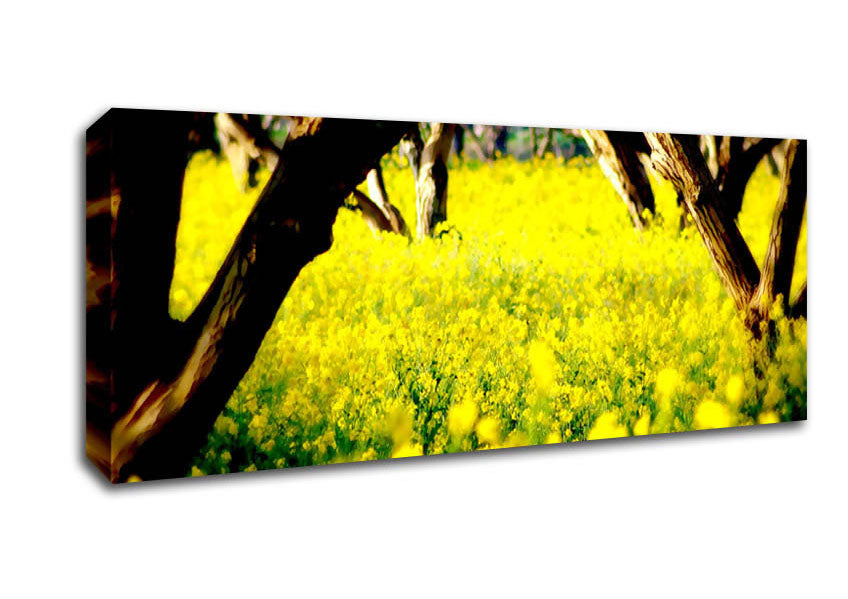 Orchard Sun Beam Canvas Wall Art