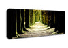 Tree Lined Path Canvas Wall Art