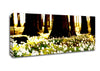 White Forest Flowers Canvas Wall Art