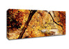 Creek In The Autumn Forest Canvas Wall Art