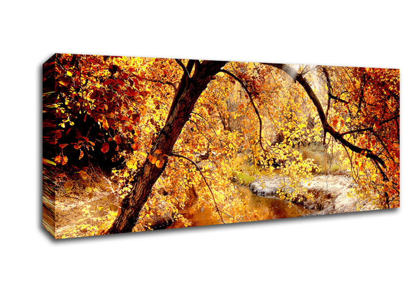 Creek In The Autumn Forest Canvas Wall Art