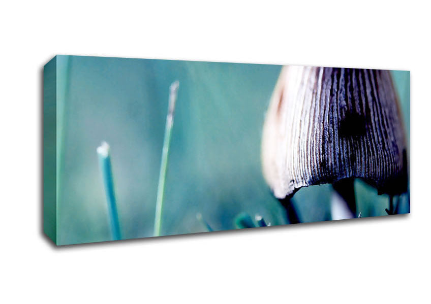 Wild Mushroom Canvas Wall Art