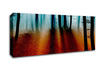 Autumn Forest Blue Sun Beams Canvas Wall Art