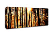 Steaming Light Rays Canvas Wall Art