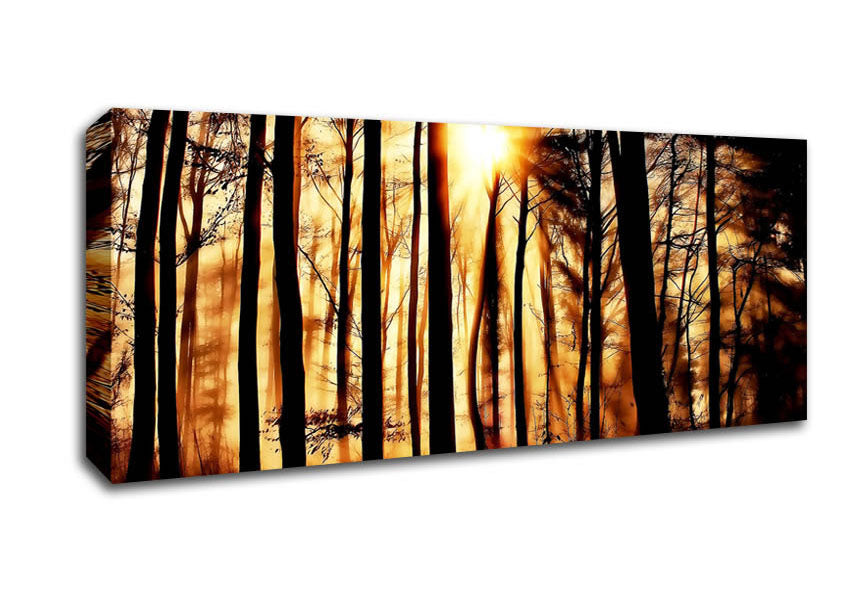 Steaming Light Rays Canvas Wall Art