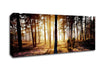 Pink Forest Beams Canvas Wall Art