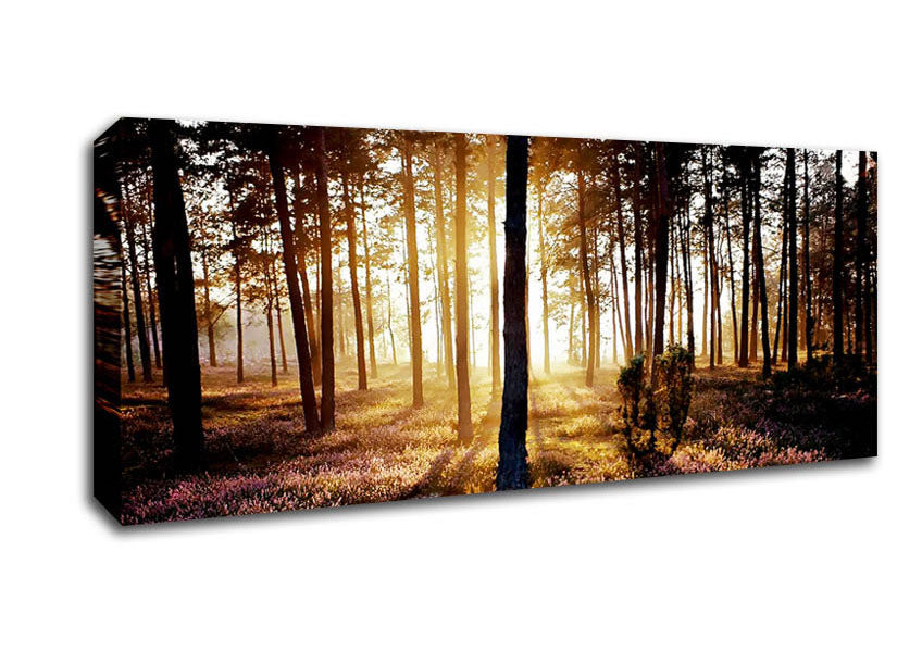 Pink Forest Beams Canvas Wall Art