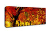 Golden Woodland Walk Canvas Wall Art