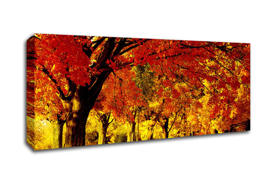 Golden Woodland Walk Canvas Wall Art
