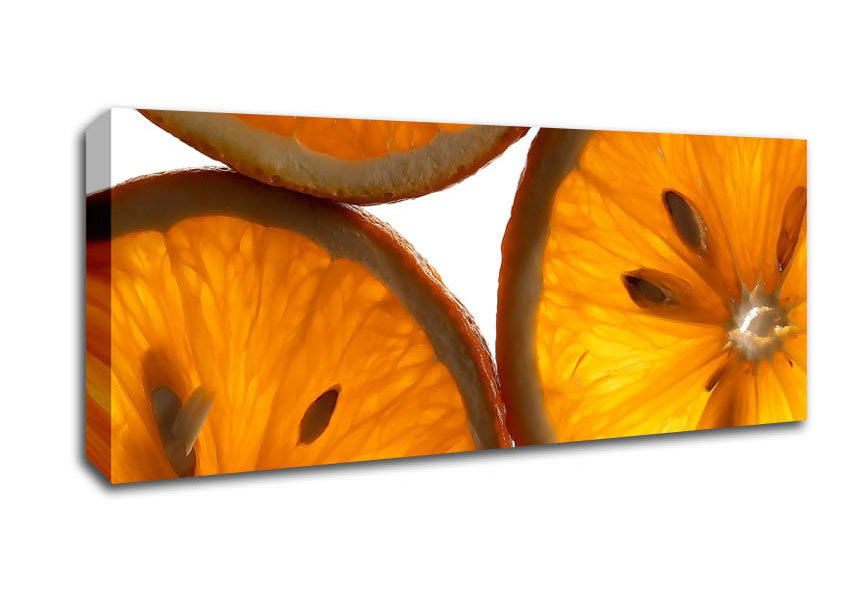 Orange Slice Canvas Wall Art