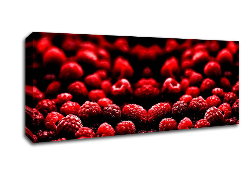 Raspberry Galour Canvas Wall Art