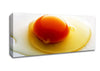 Single Egg Canvas Wall Art