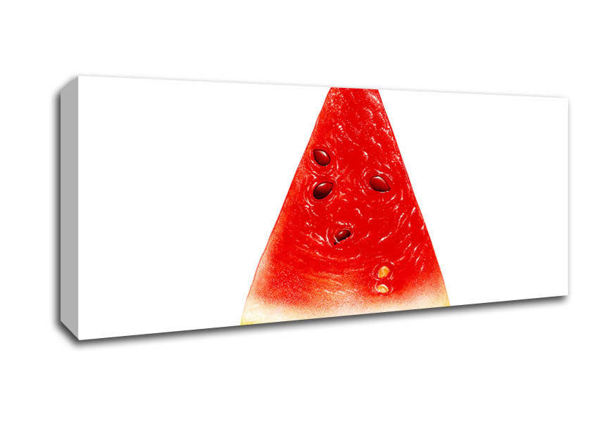 Melon Slice Canvas Wall Art