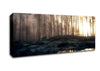Early Morning Swamp Canvas Wall Art