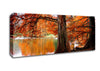 Orange Winter Lake Reflections Canvas Wall Art
