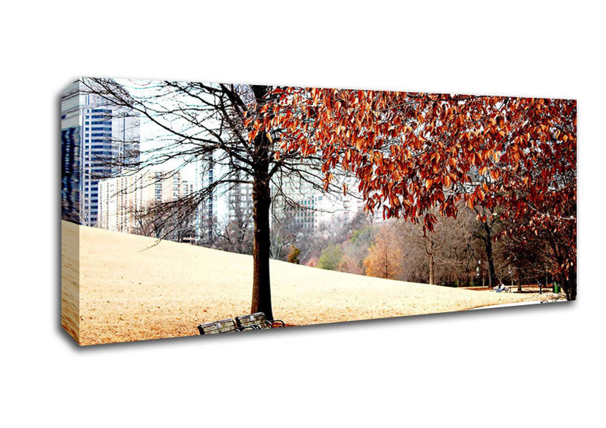 Autumn In The Park Canvas Wall Art