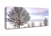 Trees And Fence Winter Canvas Wall Art