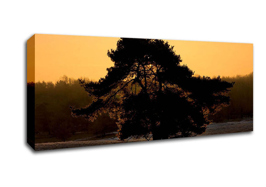 Stunning Old Tree At Dusk Canvas Wall Art