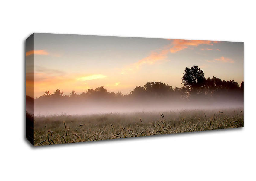 Early Morning Fog Canvas Wall Art
