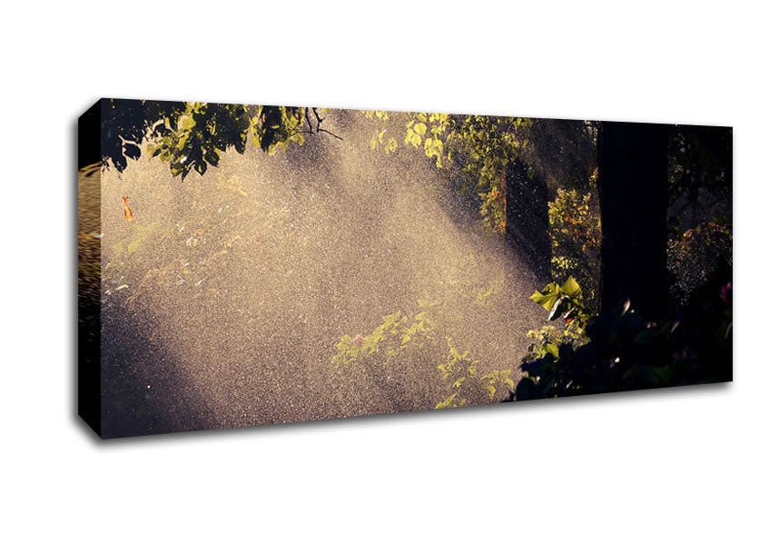 Summer Rain Forest Canvas Wall Art
