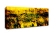 Wheatfield Yellow Canvas Wall Art