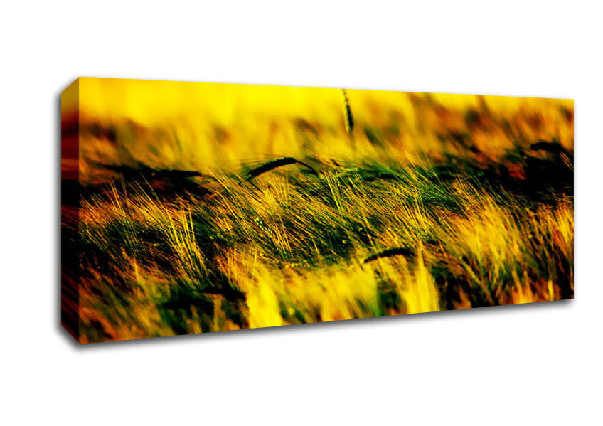 Wheatfield Yellow Canvas Wall Art