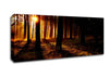 Woodland Sun Blaze Canvas Wall Art