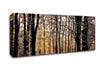 Winter Sun Through The Snowy Trees Canvas Wall Art