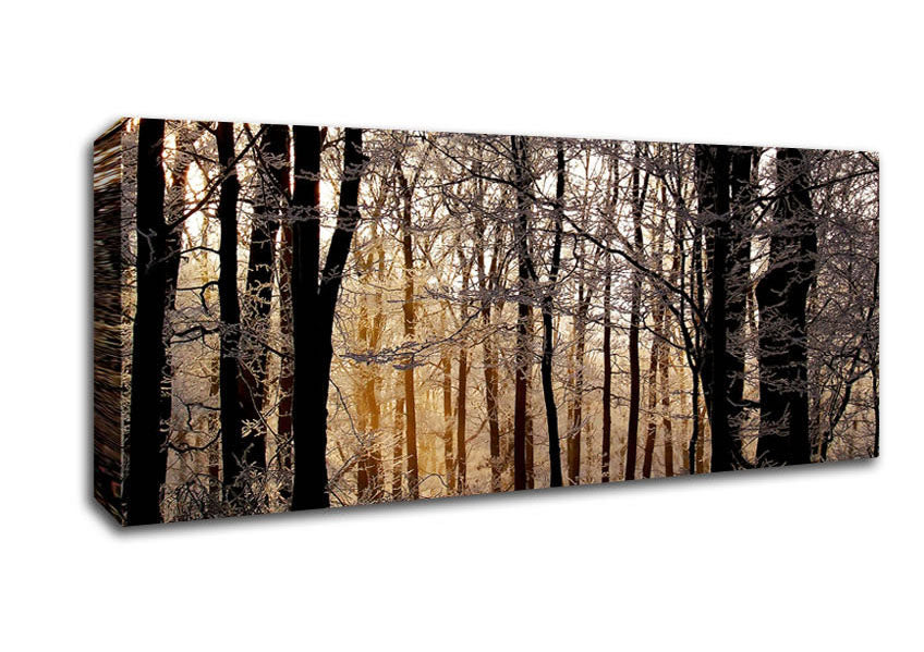 Winter Sun Through The Snowy Trees Canvas Wall Art