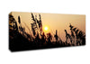 Sun Through The Reeds Canvas Wall Art