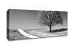 Summers Day B n W Canvas Wall Art