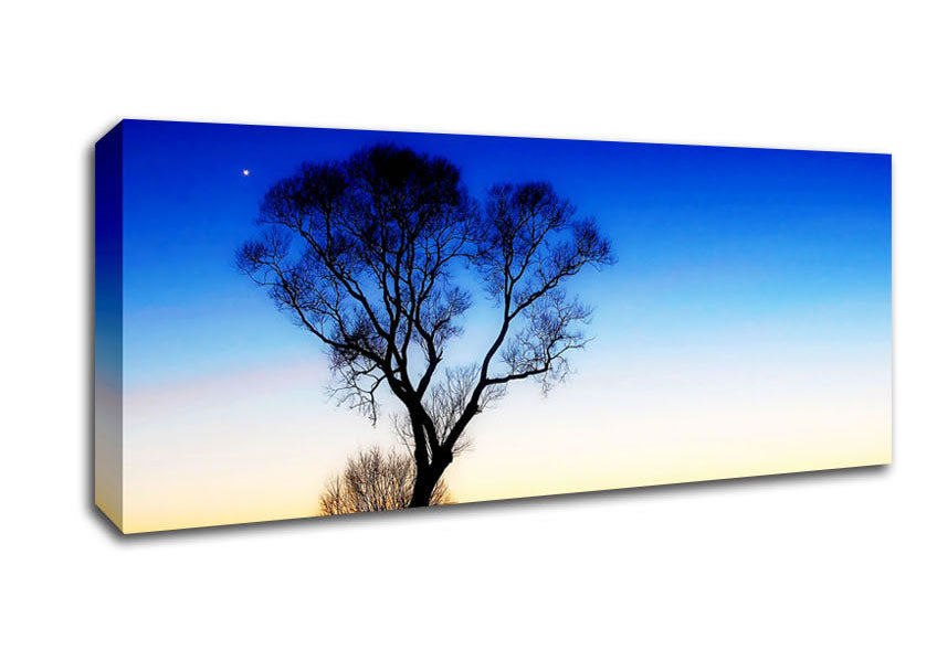 Magical Skies Canvas Wall Art