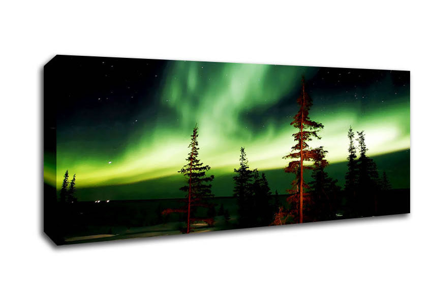 Northern Lights Green Canvas Wall Art