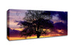 Oak Trees Light Canvas Wall Art