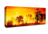 The Trees Awake Canvas Wall Art