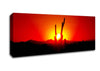 Cactus In Sunlight Canvas Wall Art