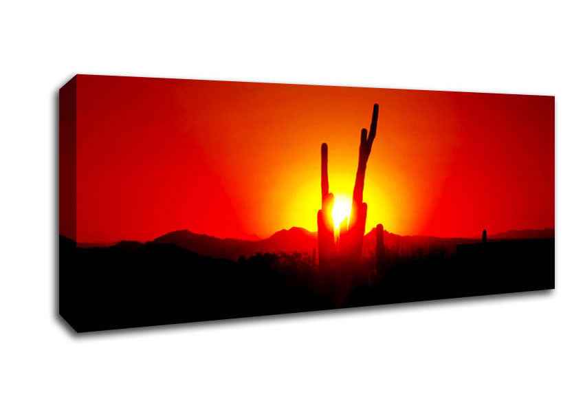 Cactus In Sunlight Canvas Wall Art