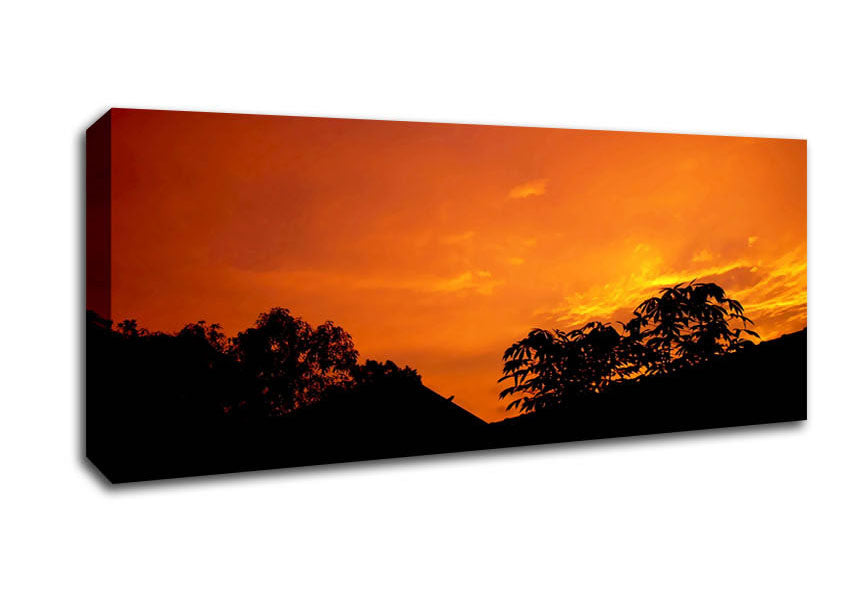 Orange Skys Over Forest Canvas Wall Art