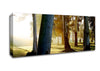 Morning Sunbeam Trees Canvas Wall Art