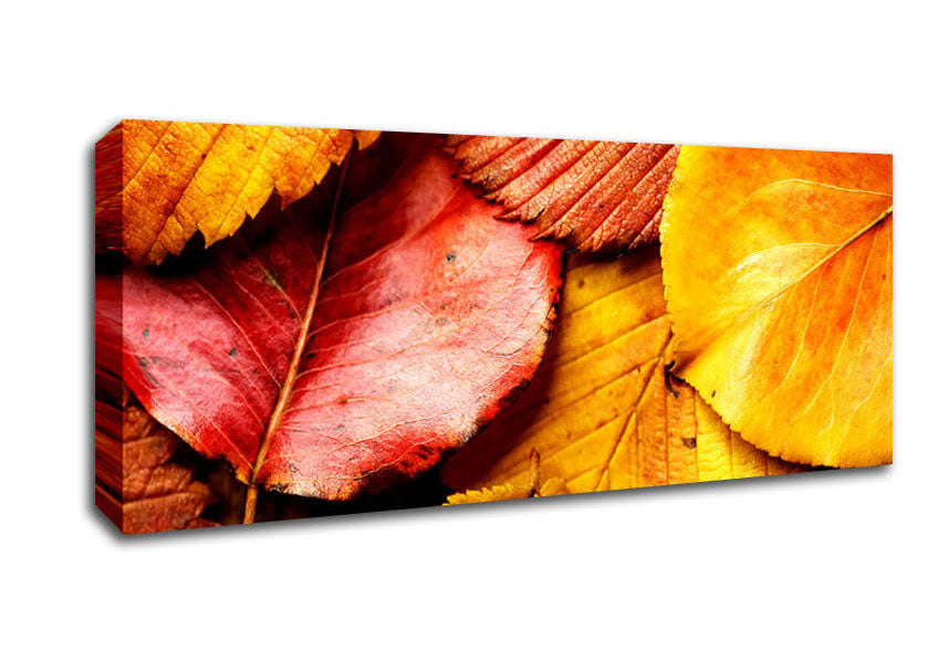 Beautiful Autumn Leaves Canvas Wall Art