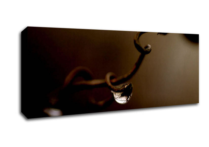 Drop Of Water Brown Canvas Wall Art