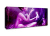 Pixie Cat Lover Canvas Wall Art