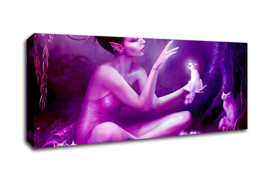 Pixie Cat Lover Canvas Wall Art