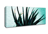 Sea Urchin Canvas Wall Art
