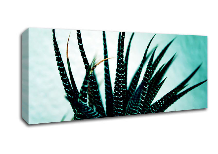 Sea Urchin Canvas Wall Art