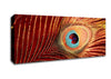 Peacock Feather 06 Canvas Wall Art