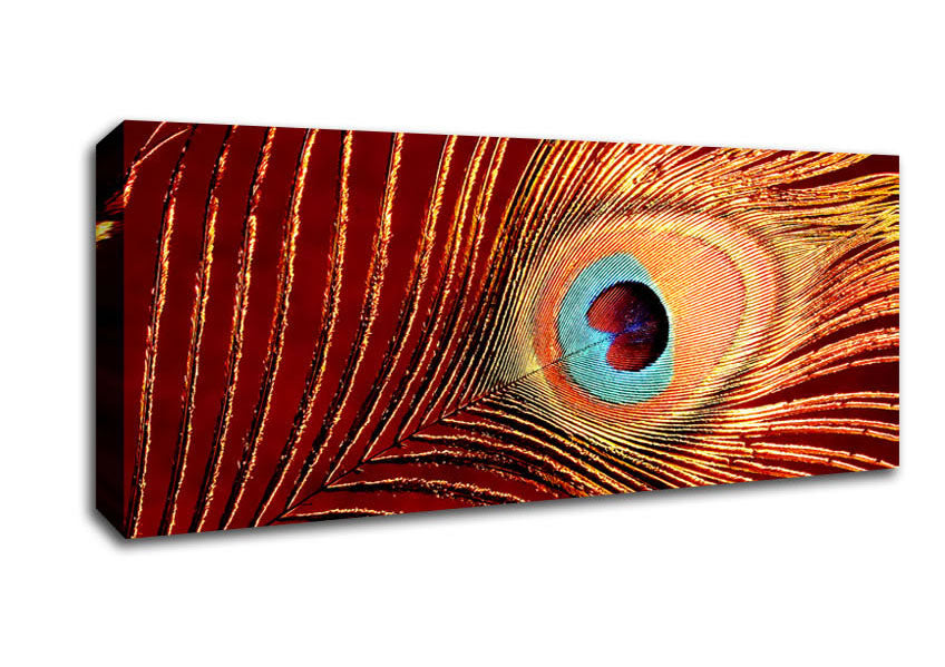 Peacock Feather 06 Canvas Wall Art