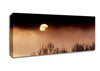 Storms By Moonlight Canvas Wall Art