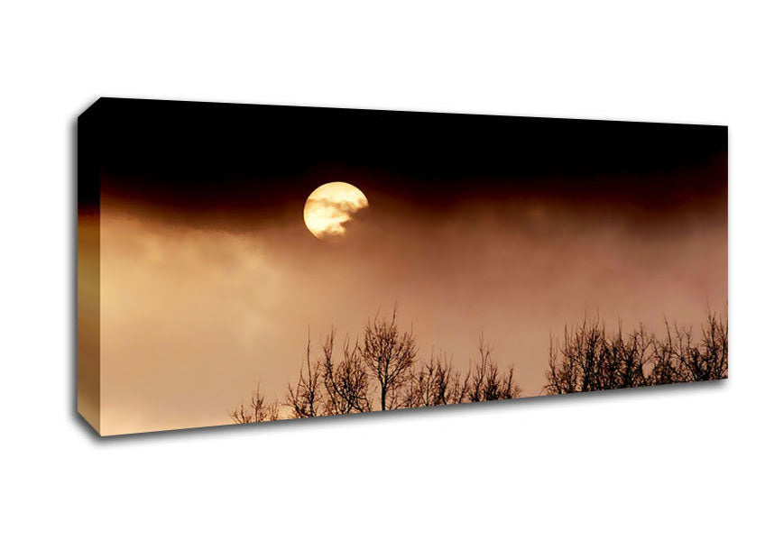 Storms By Moonlight Canvas Wall Art