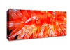 The Sea Of Life Canvas Wall Art
